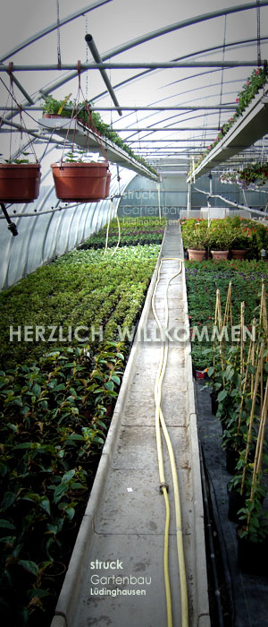 Gartenbau Struck in Lüdinghausen - Herzlich Willkommen